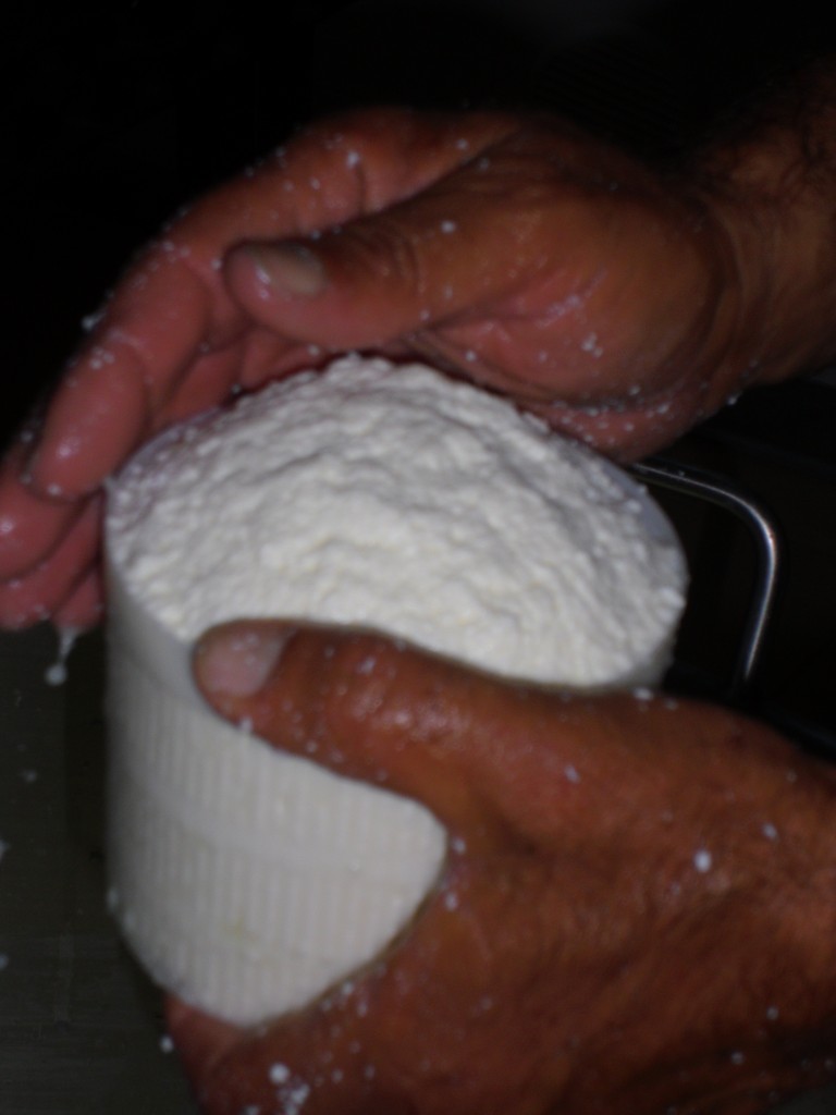 How to Make Cheese with Sheep's Milk â€“ 3 Pecorino Cheese recipes