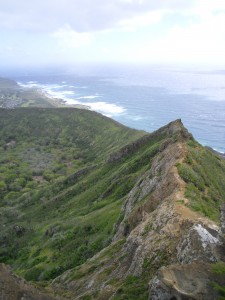 Looking back on the ridge where 90 pound Pihana was nearly blown away...
