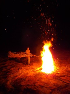 Yeah, we burned whole (dead) trees. Just doing our part to fight deadfall build up that fuels raging bush fires.