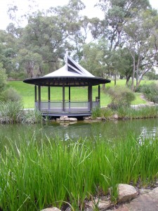 One of many idyllic spot in Perth's enormous King's Park.