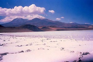 Salar Atacama - one of the many dried up saline lakes