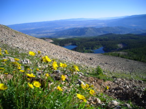 view from mountainside with yellow flowers in foreground and lakes in the lower distance