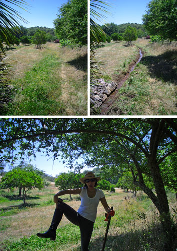 irrigation canal before and after done by woman in work exchange programs