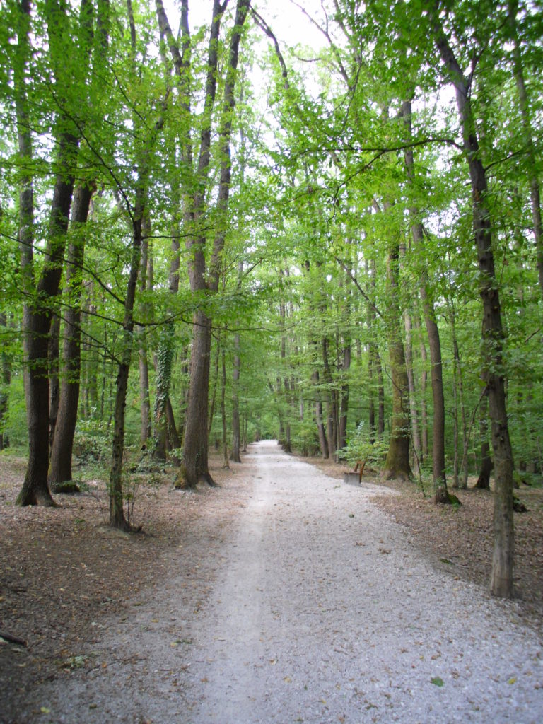 maksmir park zagrab croatia trail