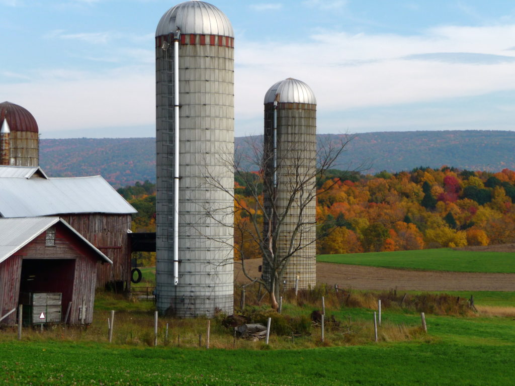 upstate new york farm barn silos