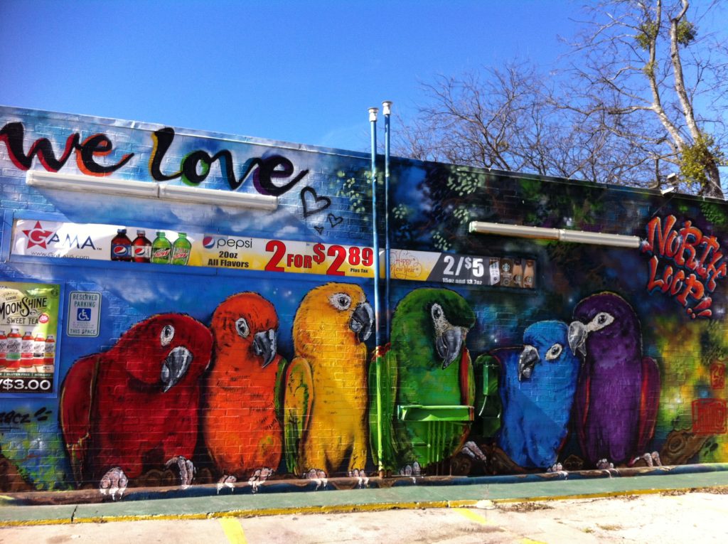 North Loop Mural in Austin Texas - photo by top slow travel blog Half the Clothes