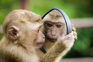 One of my biggest mistakes to avoid while traveling is not researching enough. If I had researched monkeys more before this trip, I would have avoided these travel frustrations. Travel mistakes and miscommunications can all be easily avoided with research. Most common travel mistakes can be avoided with research.